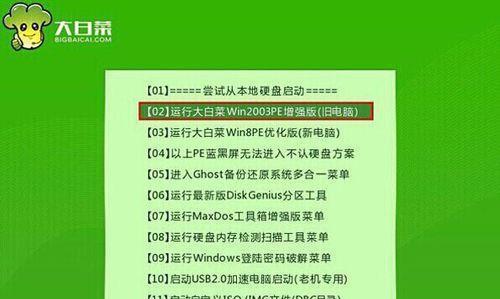 大白菜破旧开机密码教程（使用大白菜破解开机密码的详细步骤与技巧）