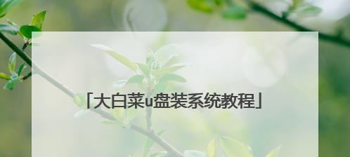 U盘大白菜装系统教程（轻松学会使用U盘安装系统的方法，让你的电脑更快更顺畅）