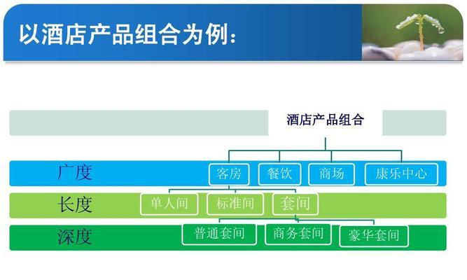 深入了解产品策略的不同类型（探索产品策略中的关键要素和策略类型）