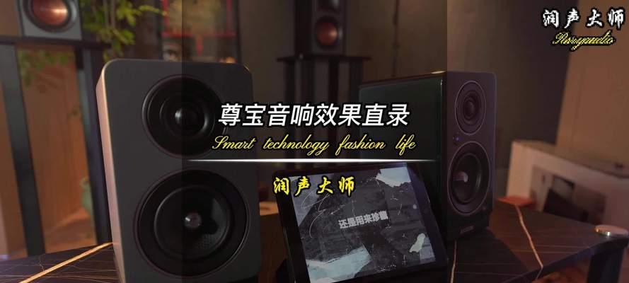 尊宝低音炮的震撼之旅（探索低音世界，感受音乐的力量）