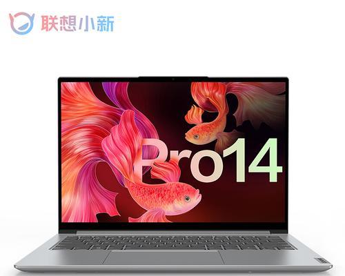 《联想小新大白菜安装系统教程》（详细指导联想小新大白菜电脑安装系统，让你轻松玩转新机器！）