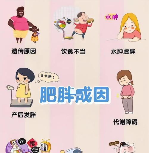 肥胖对寿命的影响（肥胖者的生活方式、健康问题及寿命预期）