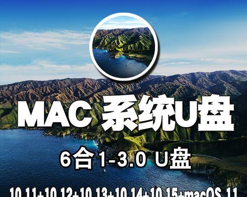 如何使用启动盘安装苹果系统（简单易懂的苹果系统安装教程）