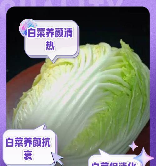 百度大白菜Pe教程（从入门到精通，轻松学习百度大白菜Pe的使用技巧与应用方法）