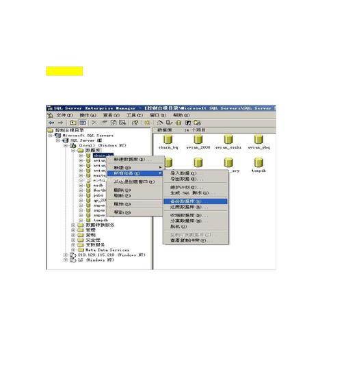 SQL苹果电脑安装教程（一步步教你在苹果电脑上安装SQL数据库）